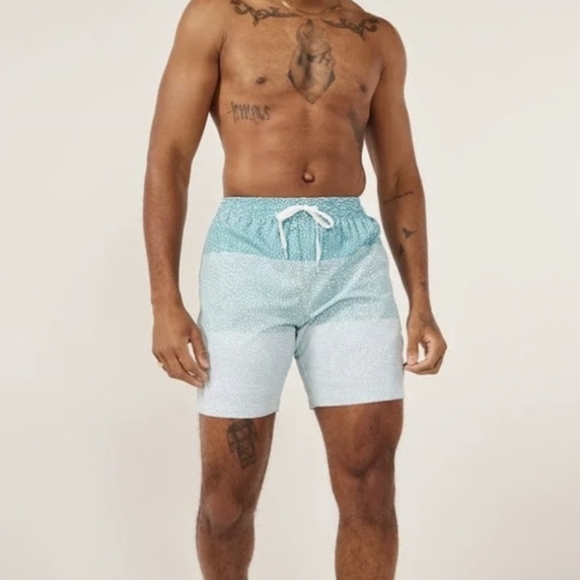 Chubbies The Whale Sharks Classic Lined Swim Trunks Size L - Picture 2 of 12